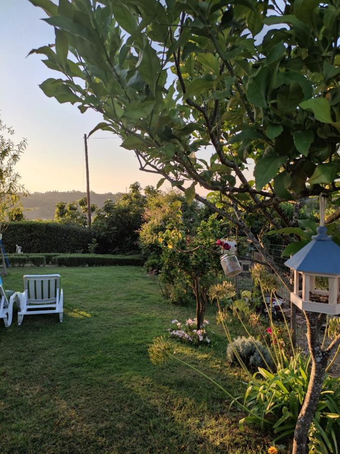 Nature et al House - Casa e jardim para uso exclusivo Batalha Extérieur photo